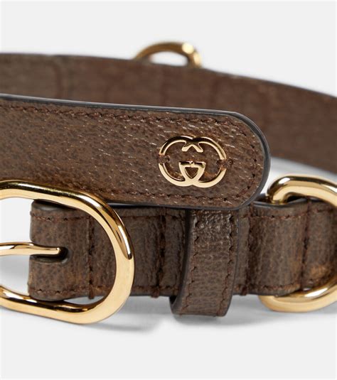 designer dog collars Gucci